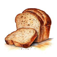 watercolor painting of sliced bread on white background