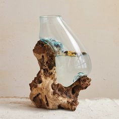 a glass vase sitting on top of a piece of driftwood next to a wall