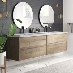 a bathroom with two round mirrors above the sinks and a potted plant on the floor