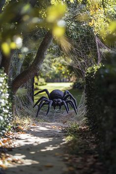 a large black spider crawling through the middle of a garden path in front of some trees