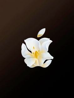 an apple logo is shown on a black background with white flowers in the foreground