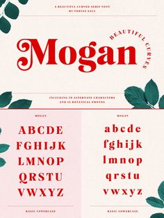 the font and numbers for mogan are all red, green leaves on white paper