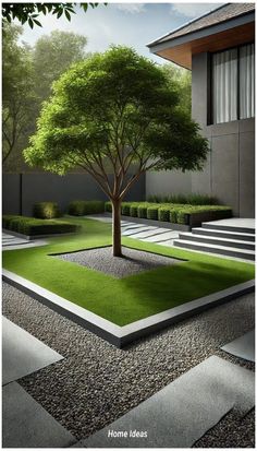 a tree in the middle of a courtyard with grass and rocks on the ground below