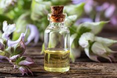 The Best Essential Oils For Gray Hair – Graying With Grace Sage Plant, Salvia Sclarea, Bees And Butterflies, Clary Sage Essential Oil, Sage Essential Oil, Wild Edibles, White Swan, Best Essential Oils, Growing Seeds