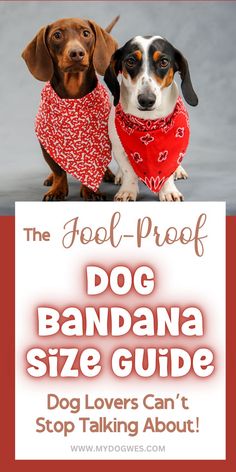 The Surprising Dog Bandana Size Guide Dog Lovers Can’t Stop Talking About! No Sew Dog Bandana, Sew Dog Bandana, Guide Dog