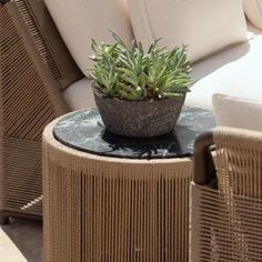 a potted plant sitting on top of a table next to two wicker chairs