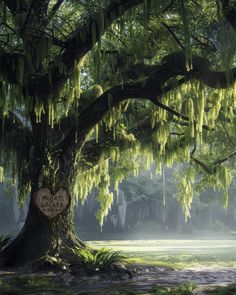 a tree with moss hanging from it's branches and a heart shaped sign on the trunk