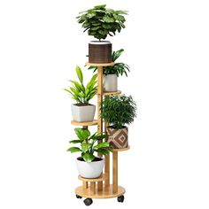 PRICES MAY VARY. 🔦【Easy to Assemble】Instruction manual, tools, and screws in our package allow you to easily and quickly install the 5-tier removable plant stand with wheels. Once installed you can have a 5-tier (7.5") flower stand. In addition to displaying your lovely bonsai, it can also be used to display photo albums, trophies, ornaments, etc. ✨【Removable Plant Stand on Wheels】plant stand has 4 removable and fixable wheels。 so that you can move the plant stand at will. Easier to clean. This Tiered Plant Stand Indoor, Corner Plant Stand, Tiered Plant Stand, Tall Plant Stand, Plant Stand With Wheels, Plants Stand, Tiered Planter, Tall Plant, Corner Plant