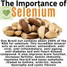 Brazil Nuts Benefits, Selenium Benefits, Cycling Nutrition, Brazil Nut, Brazil Nuts, Healthy Food Facts