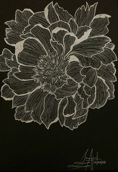 Floral line illustration Pen Art On Black Paper, White Pen Art, Art On Black Paper, Mama Design, Black Highlights, Grade 10, Apartment Art, White Pen