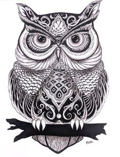 an owl with intricate designs on its face