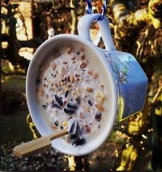 Tea Cup Suet Bird Feeder, Feeding Birds, Suet Feeder, Bird Feeding, Popsicle Stick