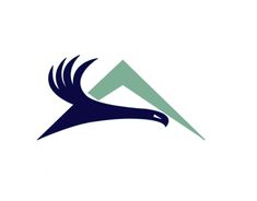 an eagle logo on a white background with blue and green accents, including the letter m