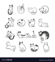 cats and kittens are drawn in the style of doodles on a white background