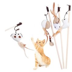 an orange and white cat sitting next to several different types of animal ornaments on sticks