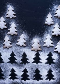 there are many small trees made out of powdered sugar on top of the snow