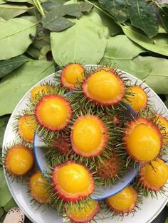 a plate full of fruit sitting on top of a leafy green surface next to leaves