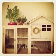 a cat house is on top of a shelf with plants and other things in it