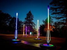 several different colored lights are lit up in the night sky near some trees and grass