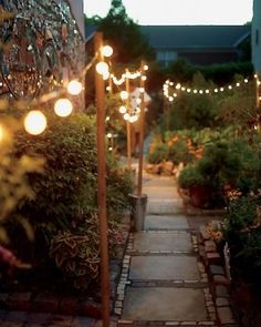 an outdoor path with lights and potted plants on either side that says plot your garden