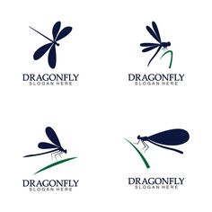 four dragonfly logos on white background