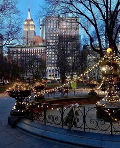 christmas lights adorn the fountain in central park, new york city's financial district