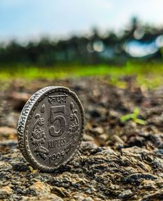 a coin sitting on top of a rock covered in grass and dirt with the words gamely shape