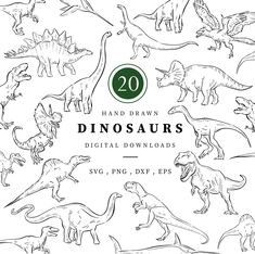 dinosaurs are drawn in black and white with the numbers 20 on them