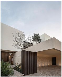 an open courtyard with trees and plants in front of a white building that has dark wood slats on the sides