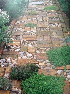 a stone path in the middle of a garden with white flowers and plants on either side