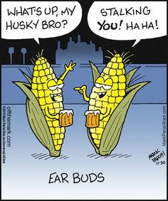 two corn on the cob cartoon with caption saying, what's up my hunky bro? stalking you haha ear buds