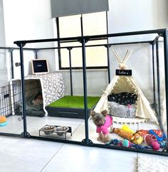 a small dog is standing in front of a caged area with toys and other items