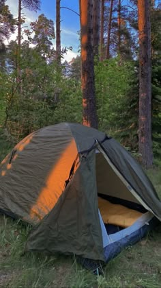 a tent pitched up in the middle of a forest with trees and grass around it