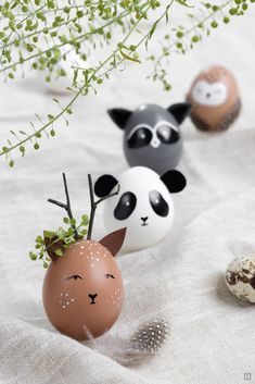 three eggs decorated like animals with plants in them on a white cloth next to an egg shell