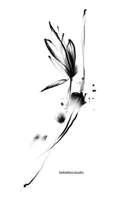 a black and white drawing of a flower on a white background with the words kottafoostudio written below it