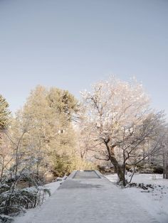 a snow covered path in the middle of a park with trees and bushes on both sides