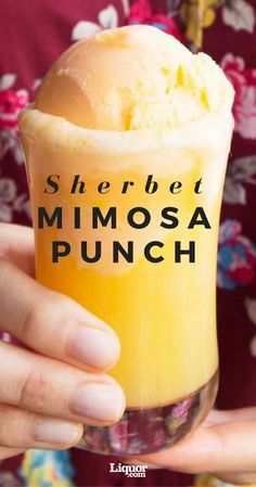 a person holding up a cup with ice cream in it that says sherbet mimosa punch