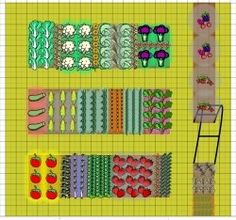 an image of a vegetable garden layout