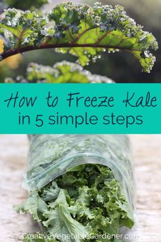 kale in 5 simple steps with text overlay that reads how to freeze - kale in five simple steps