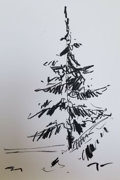 a black and white drawing of a pine tree