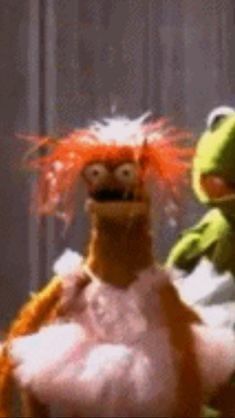 the muppet and kermie from sesame street