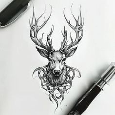 an ink drawing of a deer with antlers on it's head