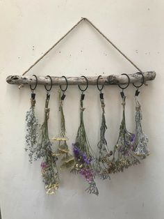 several dried flowers hanging on a wall