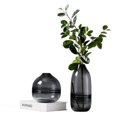 two vases with plants in them sitting next to each other on a white surface