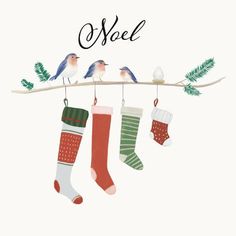 christmas stockings hanging from a branch with birds perched on them and the word noel written above it