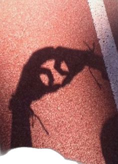 the shadow of a person holding a tennis racquet