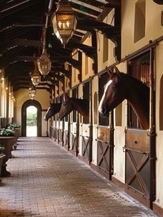 two brown horses standing next to each other on a brick walkway in front of a building