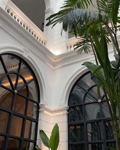 an ornate building with arched windows and palm trees