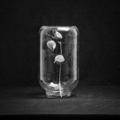 black and white photograph of flowers in a glass jar on a wooden table with dark background