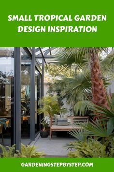 Small tropical garden with palm trees and a cozy bench, framed by glass walls. Small Tropical Gardens, Fatsia Japonica, Umbrella Tree, Tropical Garden Design, Side Yards, Creeping Jenny, Outdoor Environment, Tropical Oasis, Tall Plants